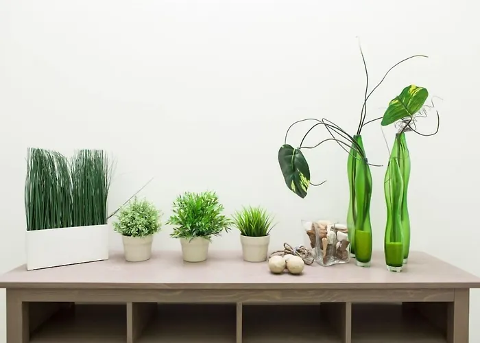 Agramante 팔레르모